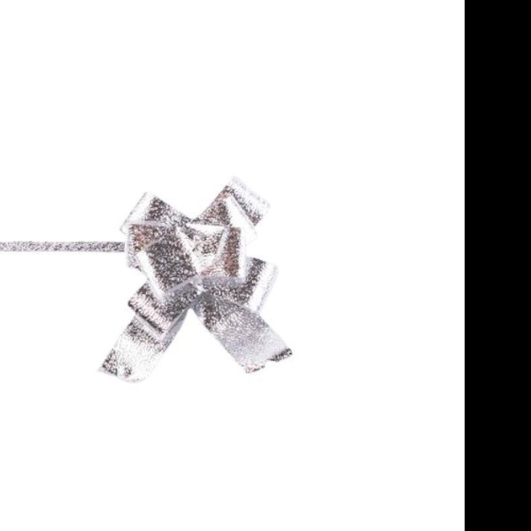 MOÑO CELOMAG. MED. HOLOG.RAIN PLATA JANEL C50 C.20